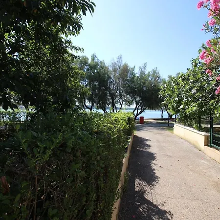 Branka St2, In Front Of The Novigrad (Istria)