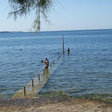 Branka St2, In Front Of The Apartman Novigrad (Istria)