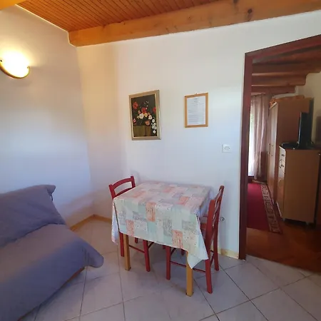Branka St2, In Front Of The Novigrad (Istria)